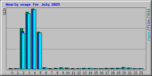 Hourly usage for July 2025