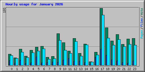 Hourly usage for January 2026