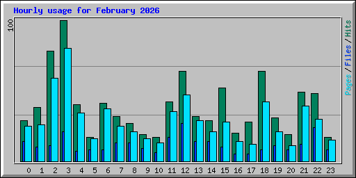 Hourly usage for February 2026